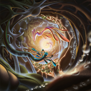 宝宝胸罩脱了让我揉揉你的奶头
