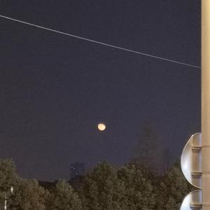 宝宝胸罩脱了让我揉揉你的奶头
