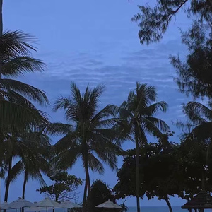 宝宝胸罩脱了让我揉揉你的奶头
