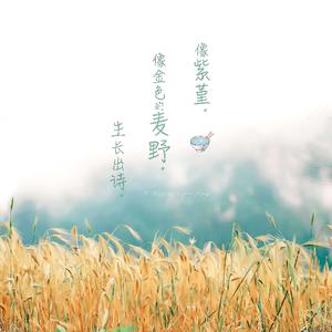 宝宝胸罩脱了让我揉揉你的奶头
